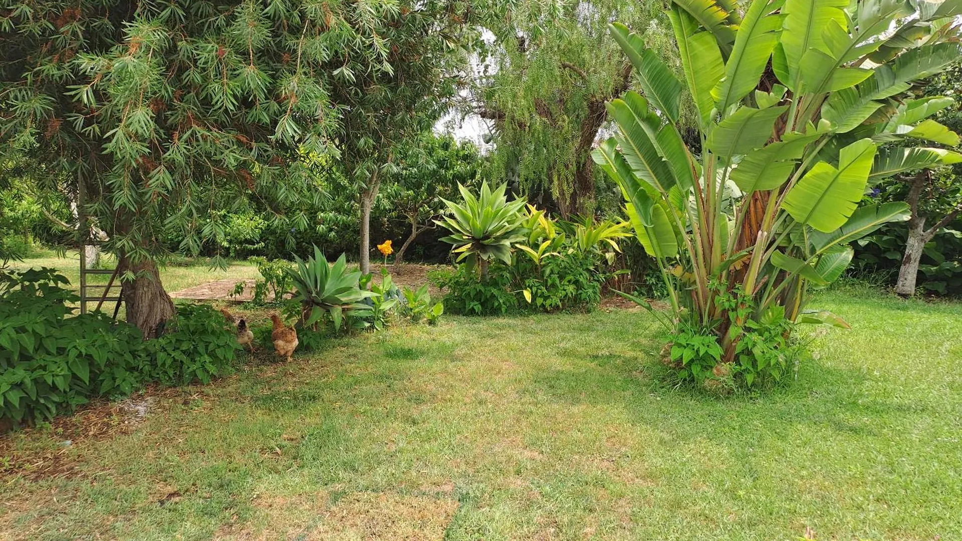 Appartement Traquility At Villa Fonte Coberta Lagos