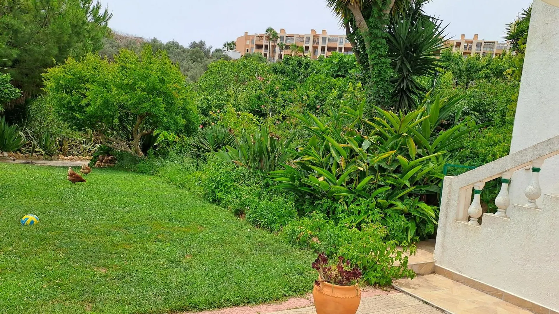 Traquility At Villa Fonte Coberta Lagos Portugal